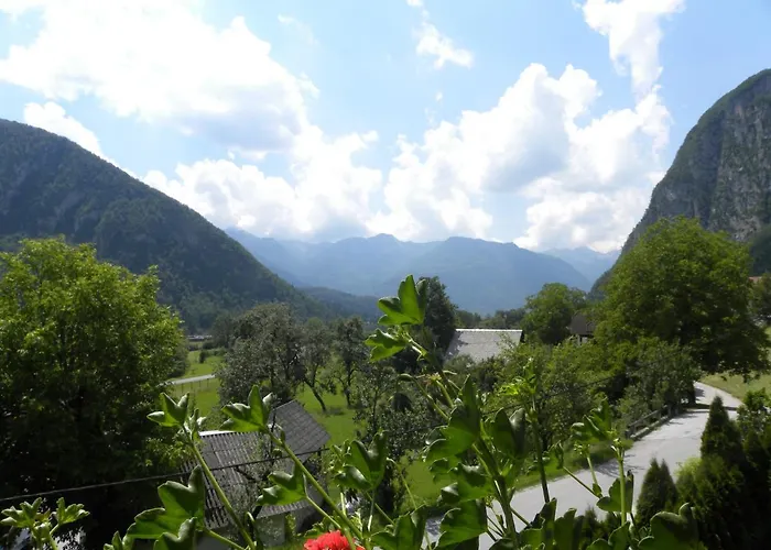 Apartma Cvetek, Srednja Vas 133 דירה